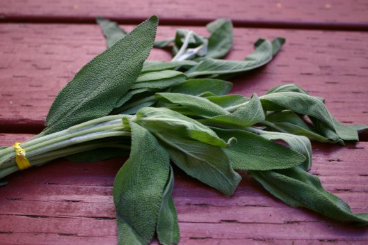 Spaghetti with Sage, Pancetta and Fried Egg Recipe