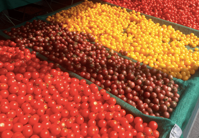 Screen Shot 2017-09-09 at 3.20.47 PM