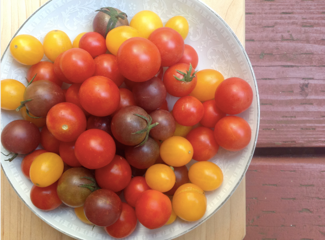 Screen Shot 2017-09-09 at 3.21.59 PM